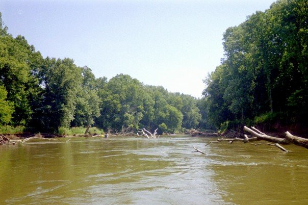 White River State Park景点图片