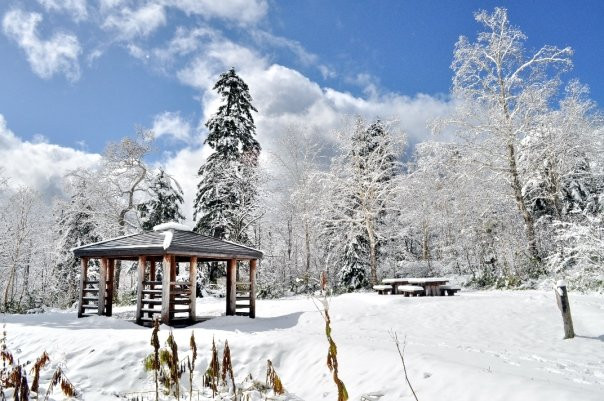 Asahidake Natural Hiking Route景点图片