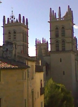 Basilique Notre Dame de Bonsecours景点图片