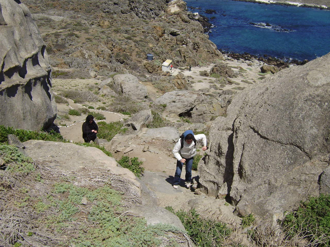 Isla Damas-拉塞雷纳必去景点