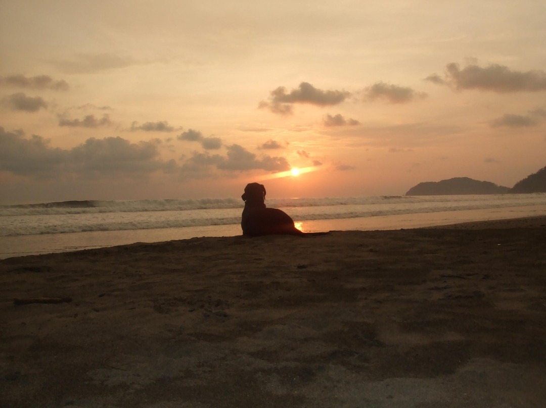 Jaco Beach景点图片