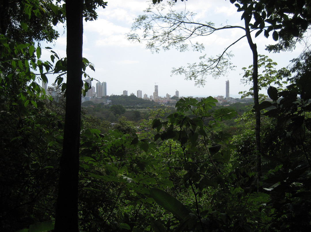 Metropolitan National Park景点图片