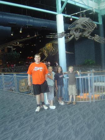 莱利大烟山水族馆-盖林柏格必去景点