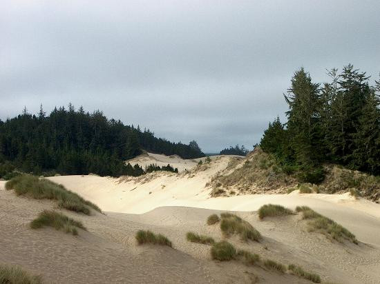 Oregon Dunes National Recreation Area景点图片