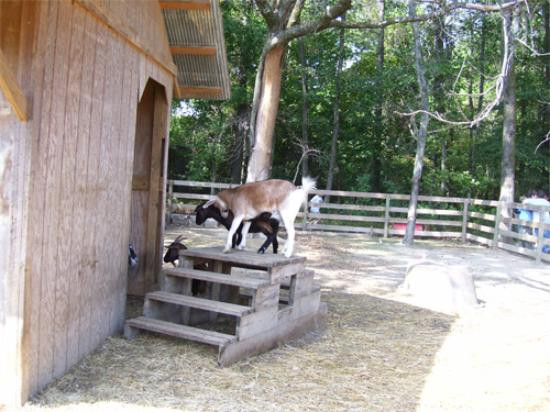 Parker Pioneer Homestead-Harrisburg必去景点