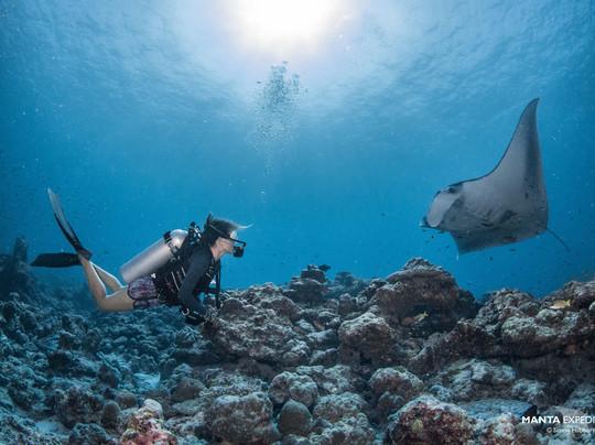 Manta Expeditions - Mexico