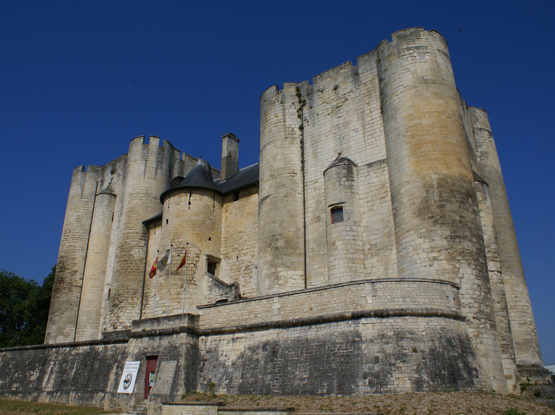 Le Musée du Donjon de Niort景点图片
