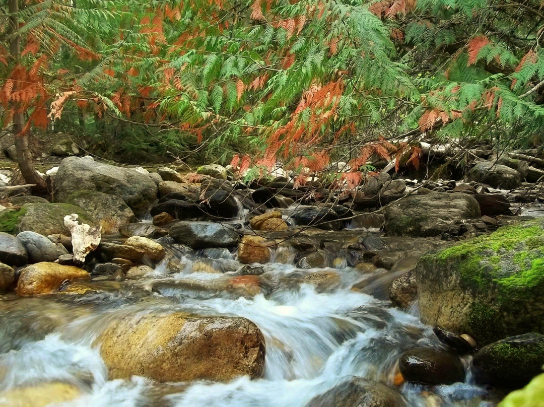 Water's Edge Bed and Breakfast主图