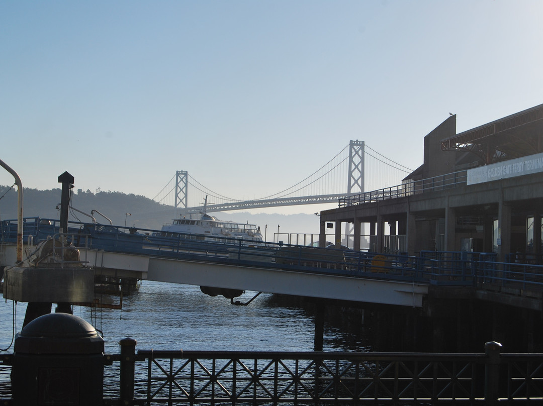 渡轮大楼市场-旧金山必去景点