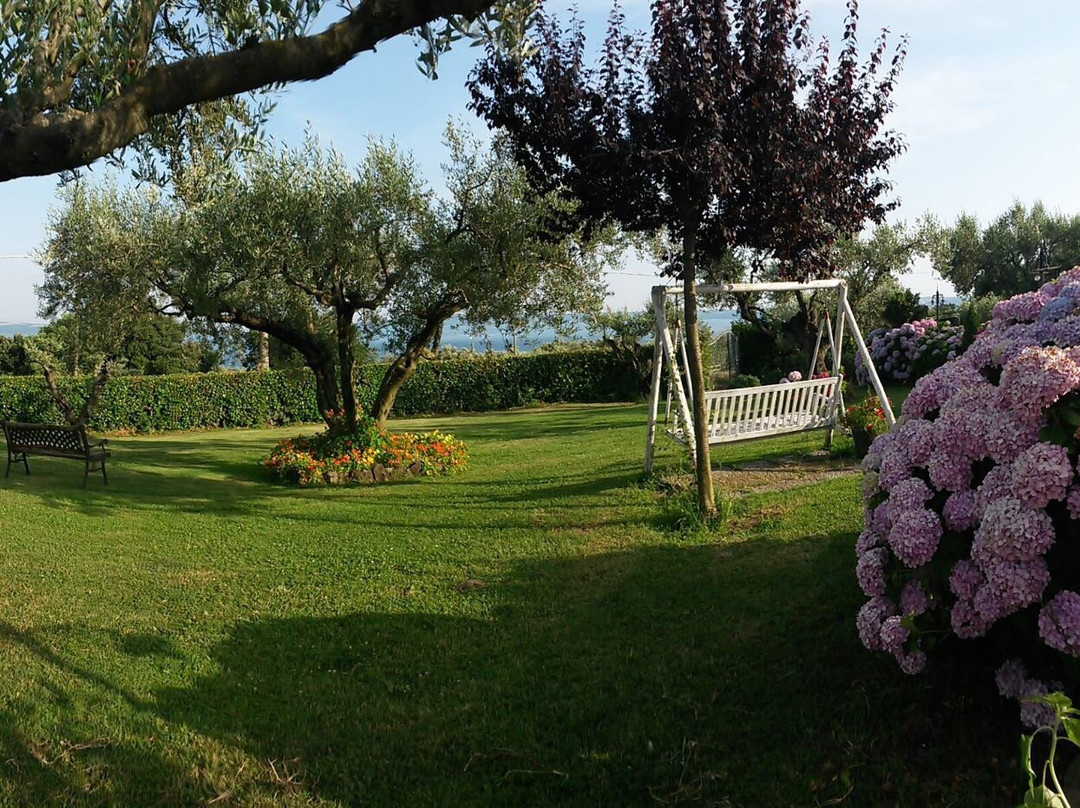 Il Poggio Degli Ulivi