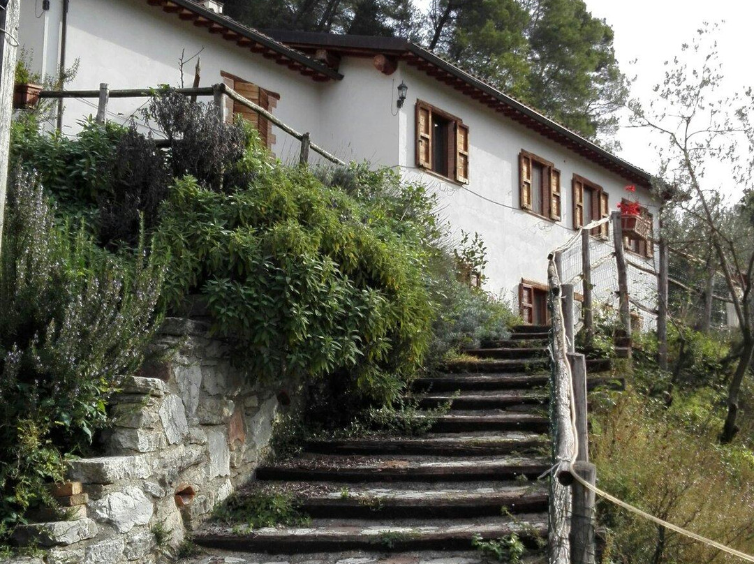 Agriturismo Nonno Filippetto