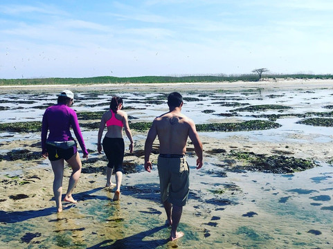 Get Salty Adventures-East Moriches必去景点