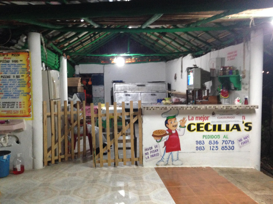Pedro Antonio Santos餐馆和美食-Cecilia's Pizza