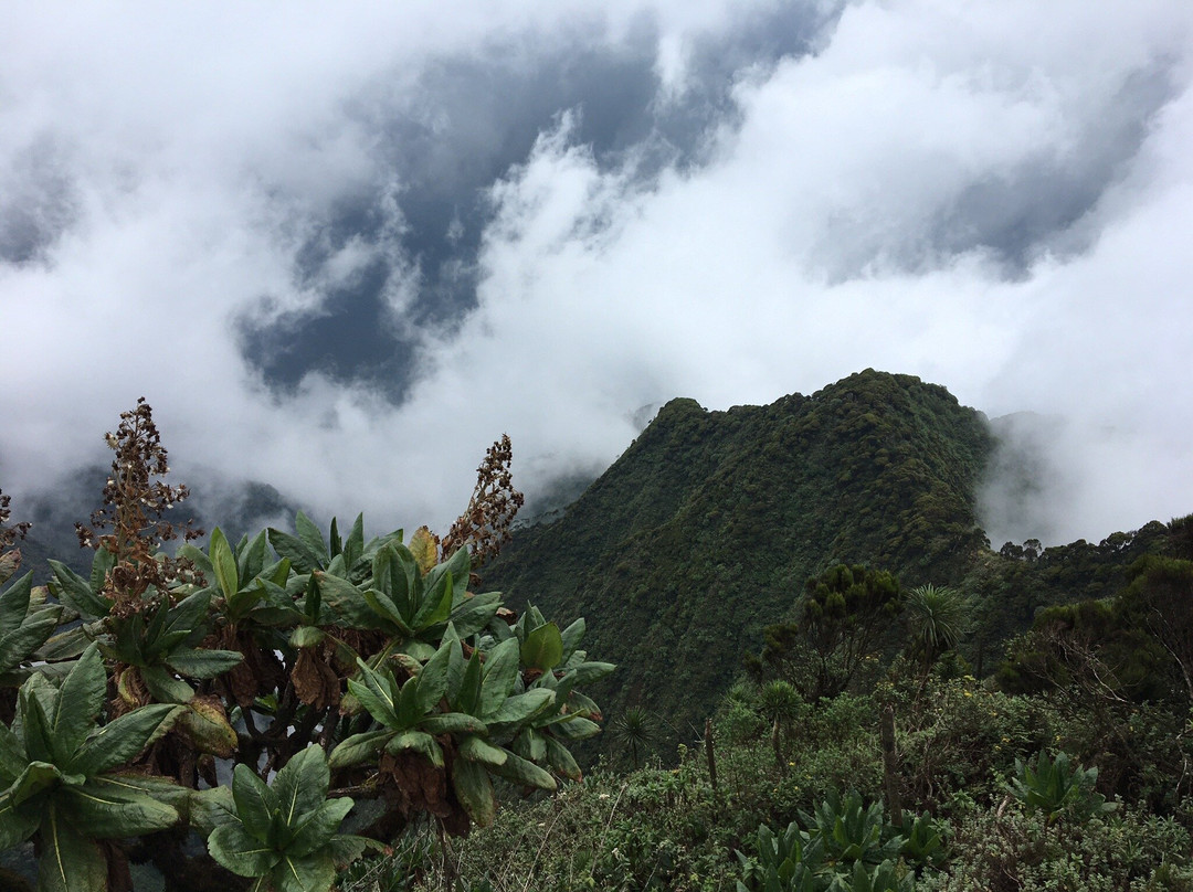 Mount Sabyinyo景点图片