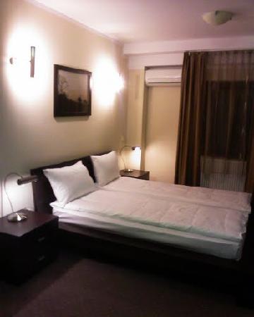 SS Residence Timisoara Pensiunea Tania-客卧