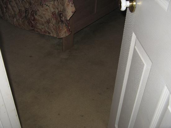 金德美国最有价值旅馆&套房酒店