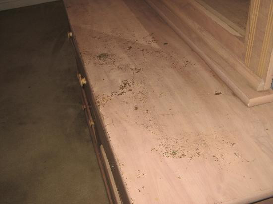 金德美国最有价值旅馆&套房酒店