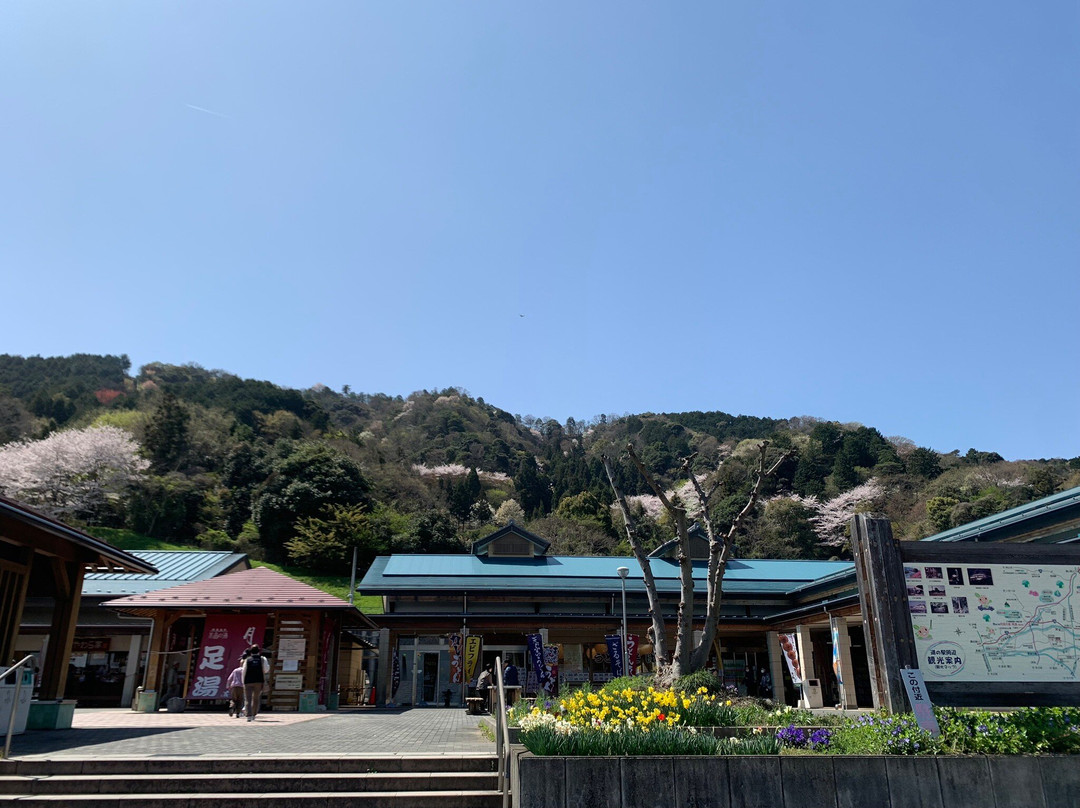 Michi-no-Eki Tsukimino Sato Nanno-海津市必去景点