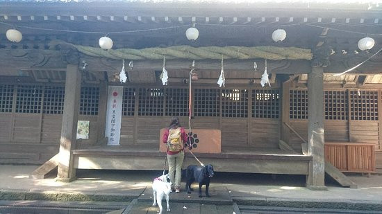 Hasuge Shrine景点图片
