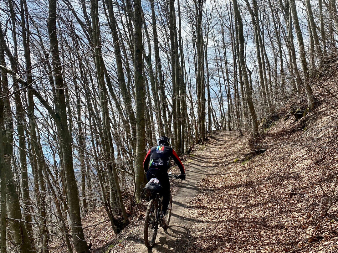 Jesi Bike Tours-杰西必去景点