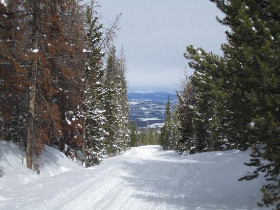 Trailblazer Snowmobile Tours景点图片