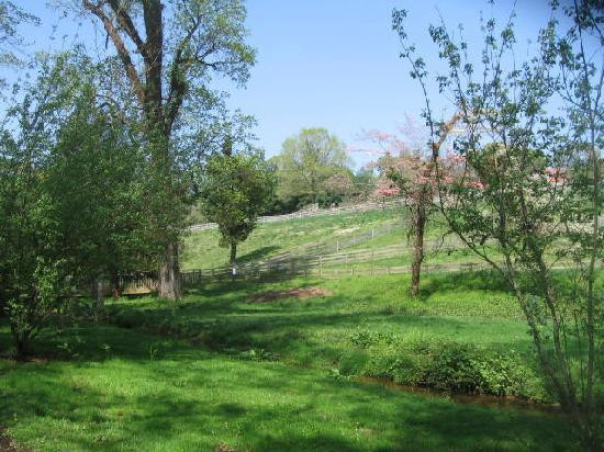 梅蒙德庄园-里士满必去景点