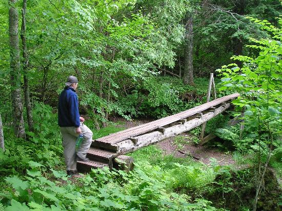 Porcupine Mountains Wilderness State Park-昂托纳贡必去景点
