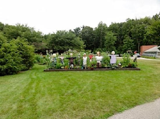 Dow Gardens景点图片