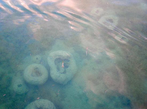 Key West Eco Tours-基韦斯特必去景点