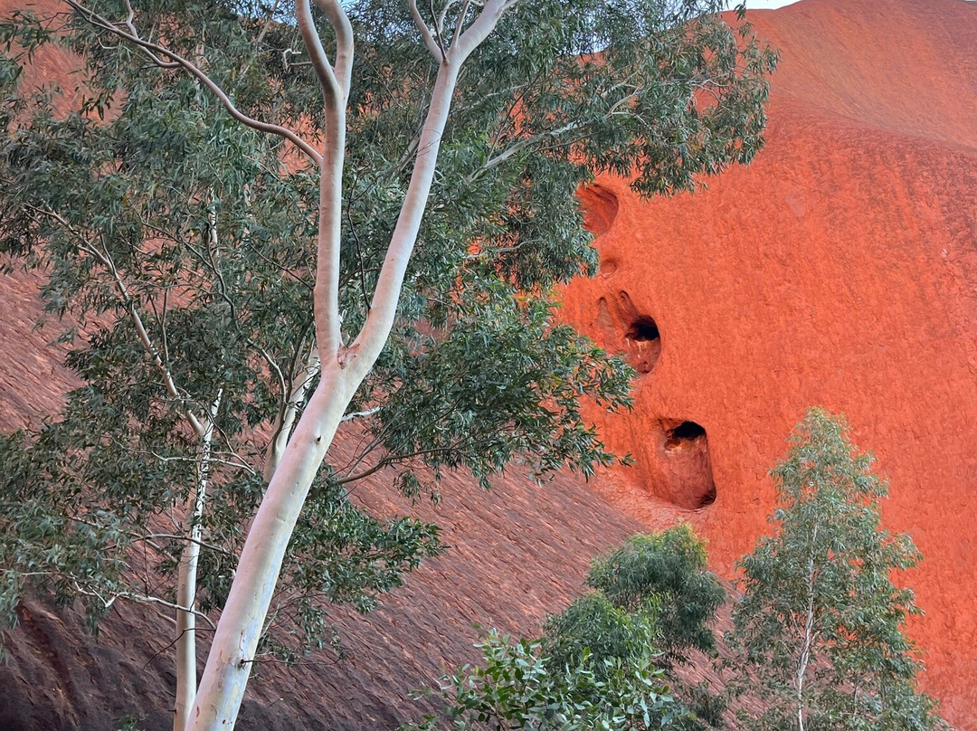 Mutitjulu Waterhole-乌鲁鲁-卡塔丘塔国家公园必去景点