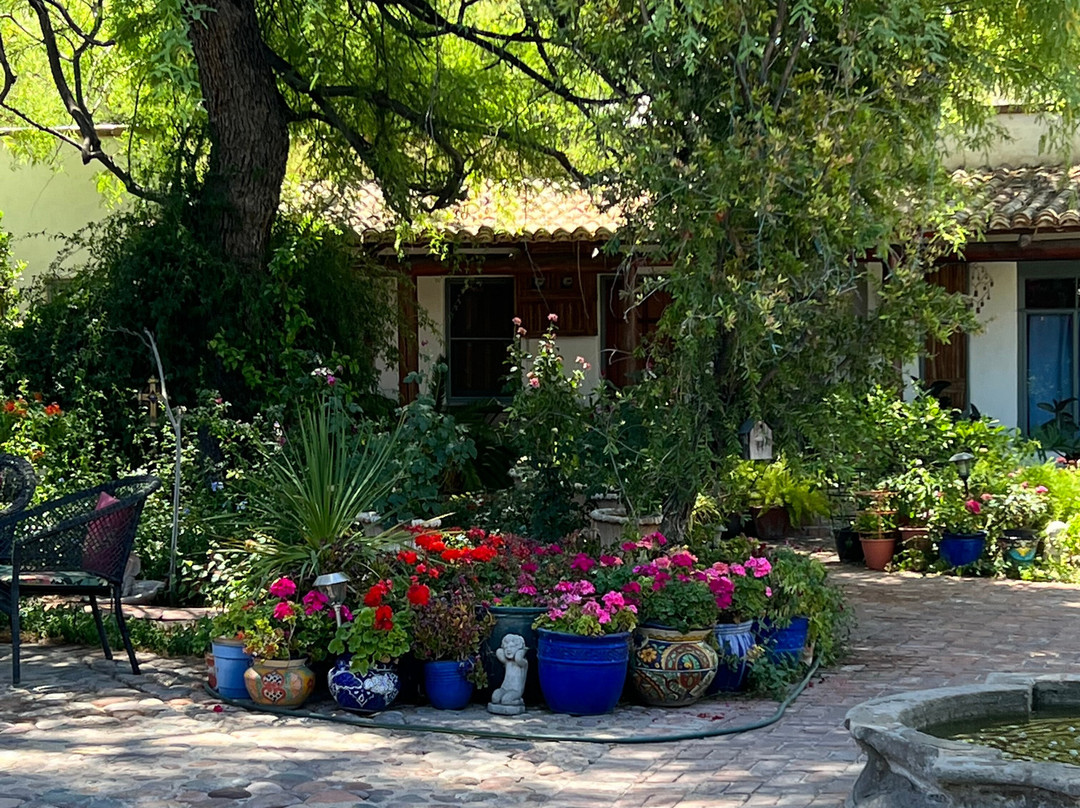 El Presidio Inn Bed and Breakfast主图