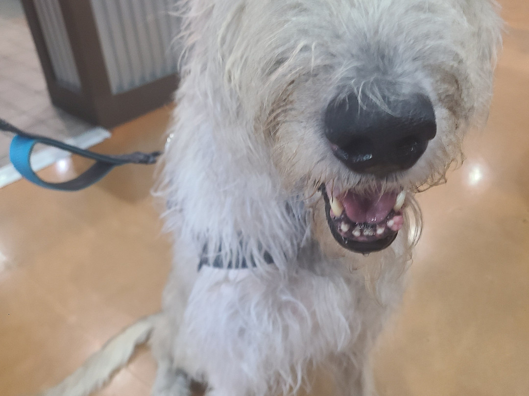 MoMac Brewing Co-朴次茅斯必去景点