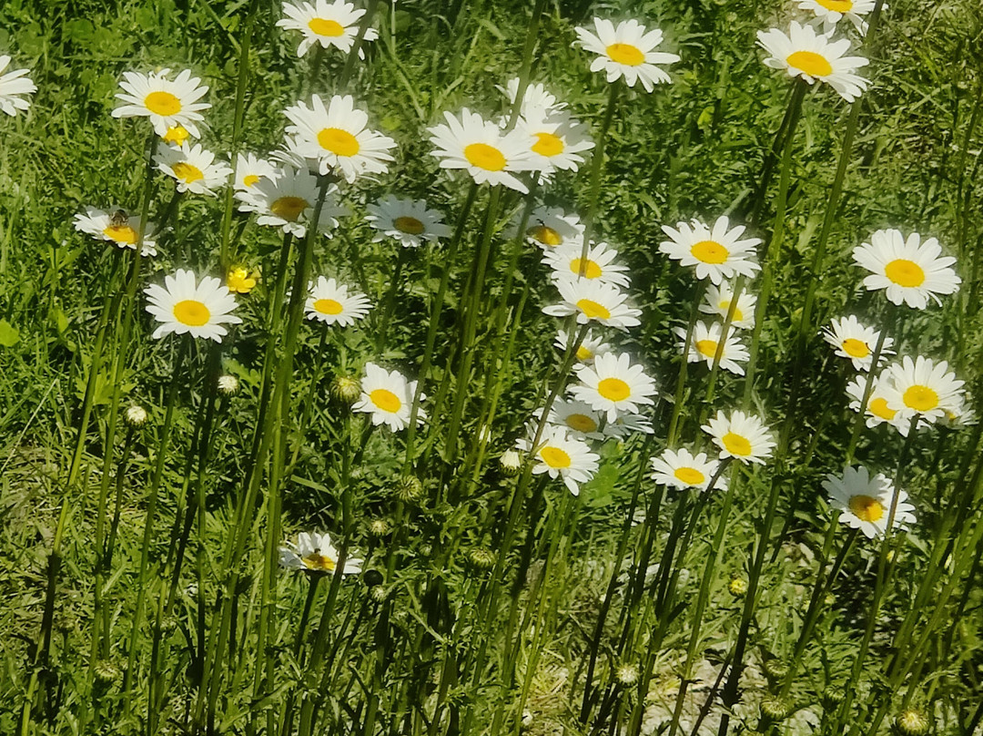 Hotel Nature Valley主图