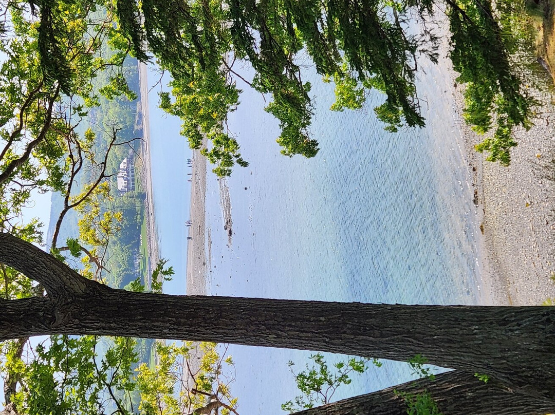 Bar Island Trail-巴港必去景点