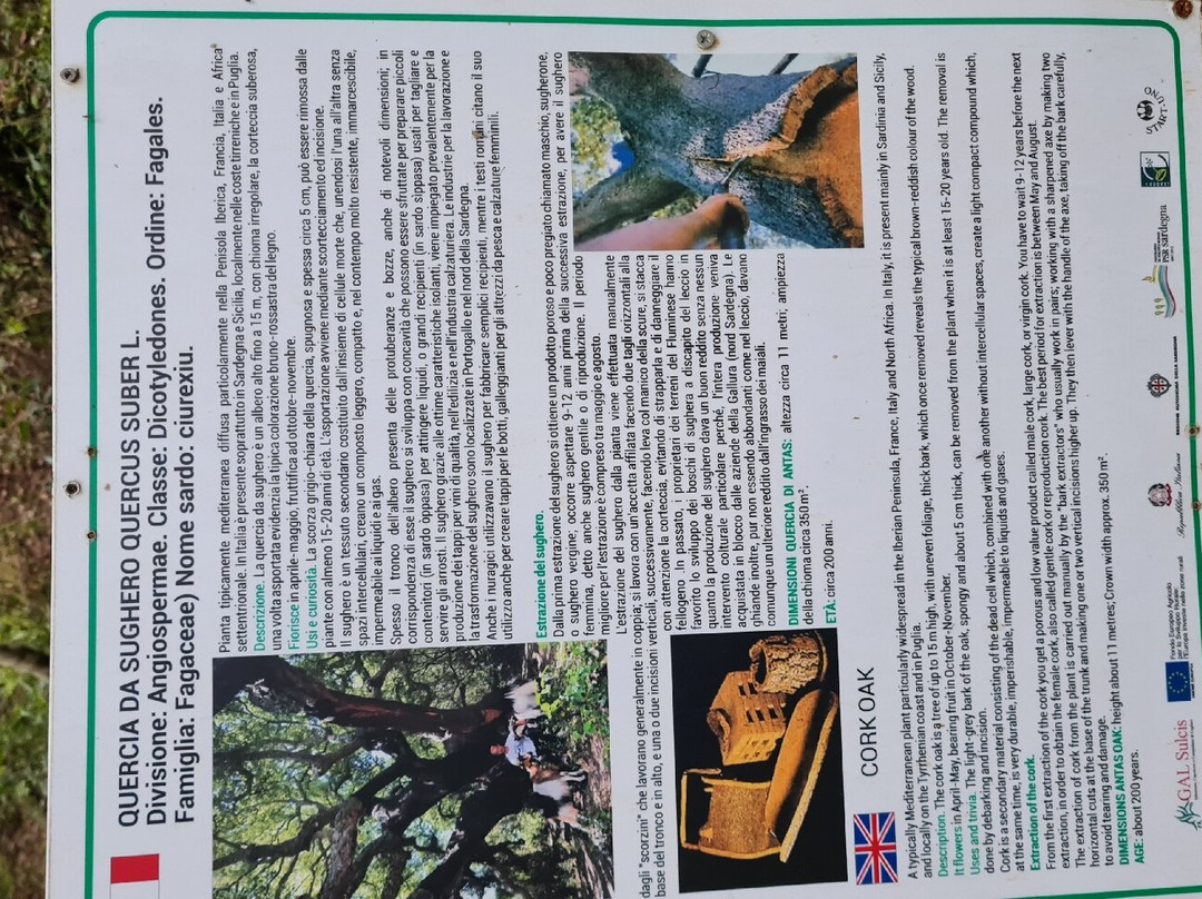 Tempio di Antas-Fluminimaggiore必去景点