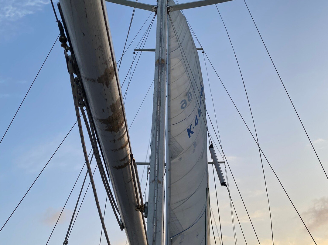 Halcyon I - Historical Lisbon Boat Tours-里斯本必去景点