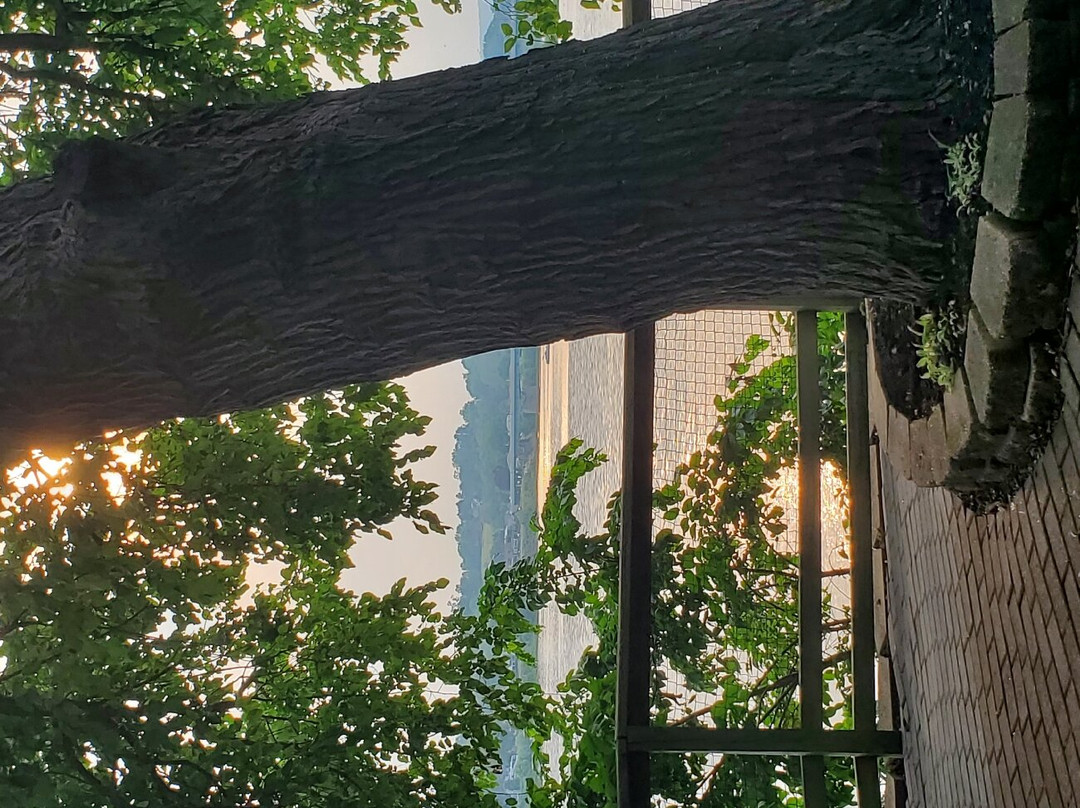 City Island景点图片