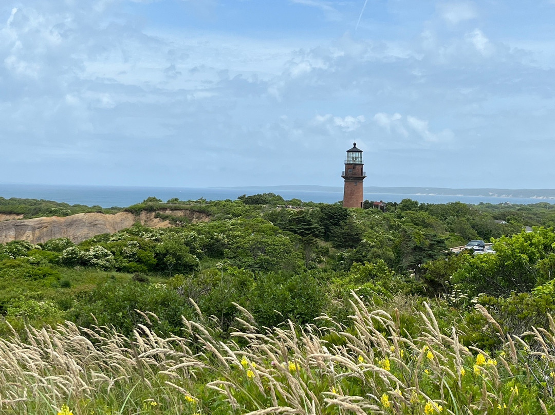 Martha's Vineyard Tours and Excursions景点图片
