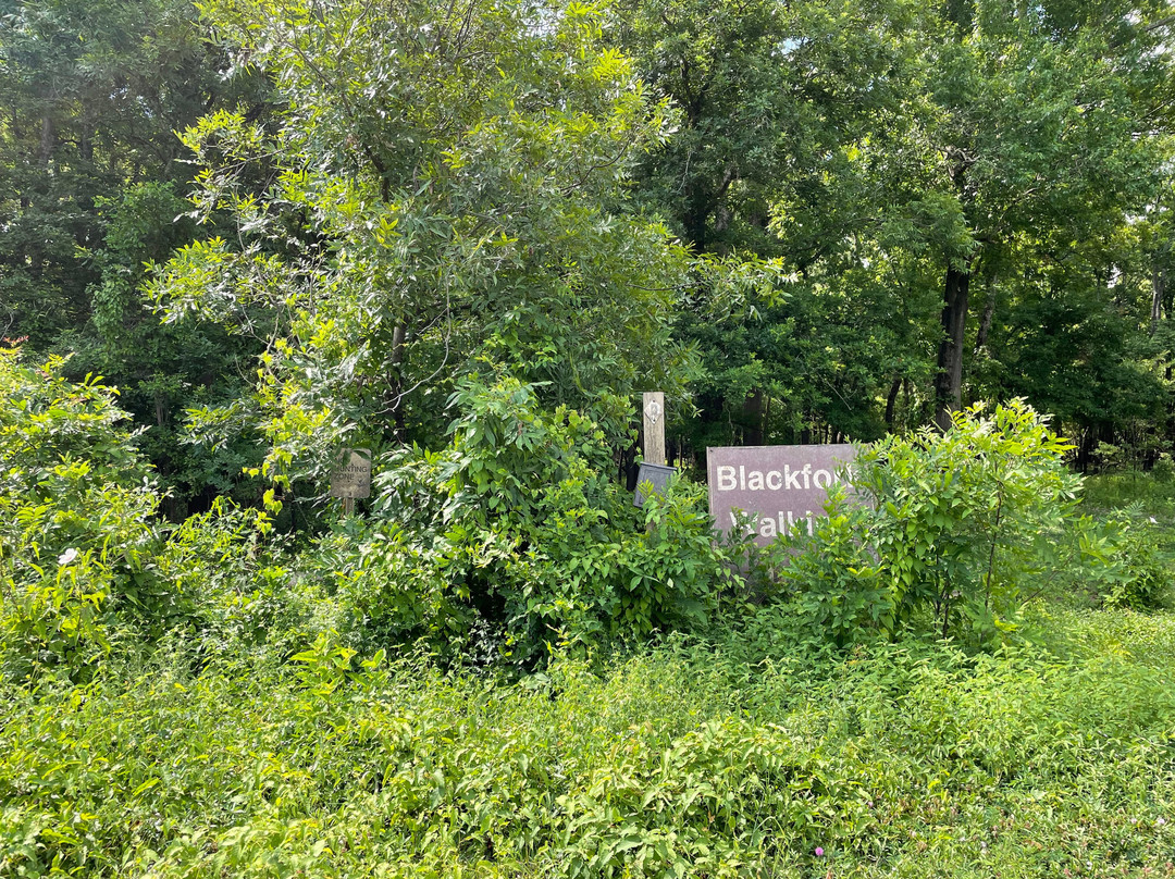 Cat Island National Wildlife Refuge景点图片