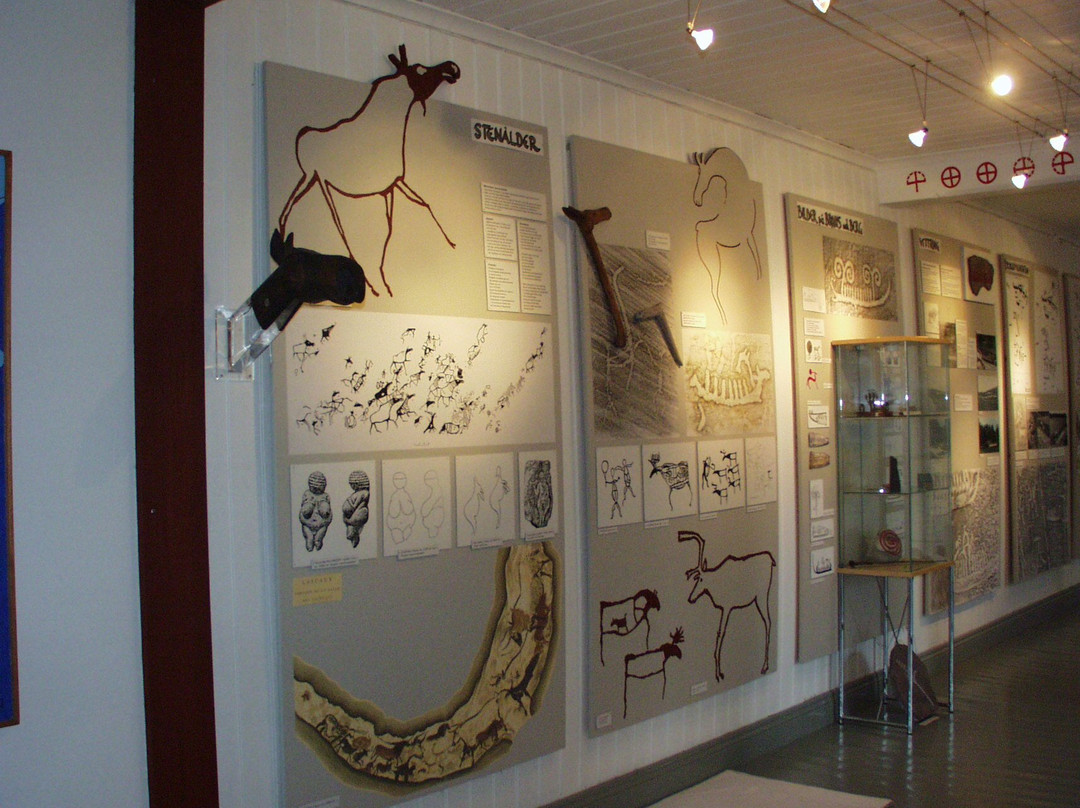 Tanums Hällristningsmuseum Underslös景点图片