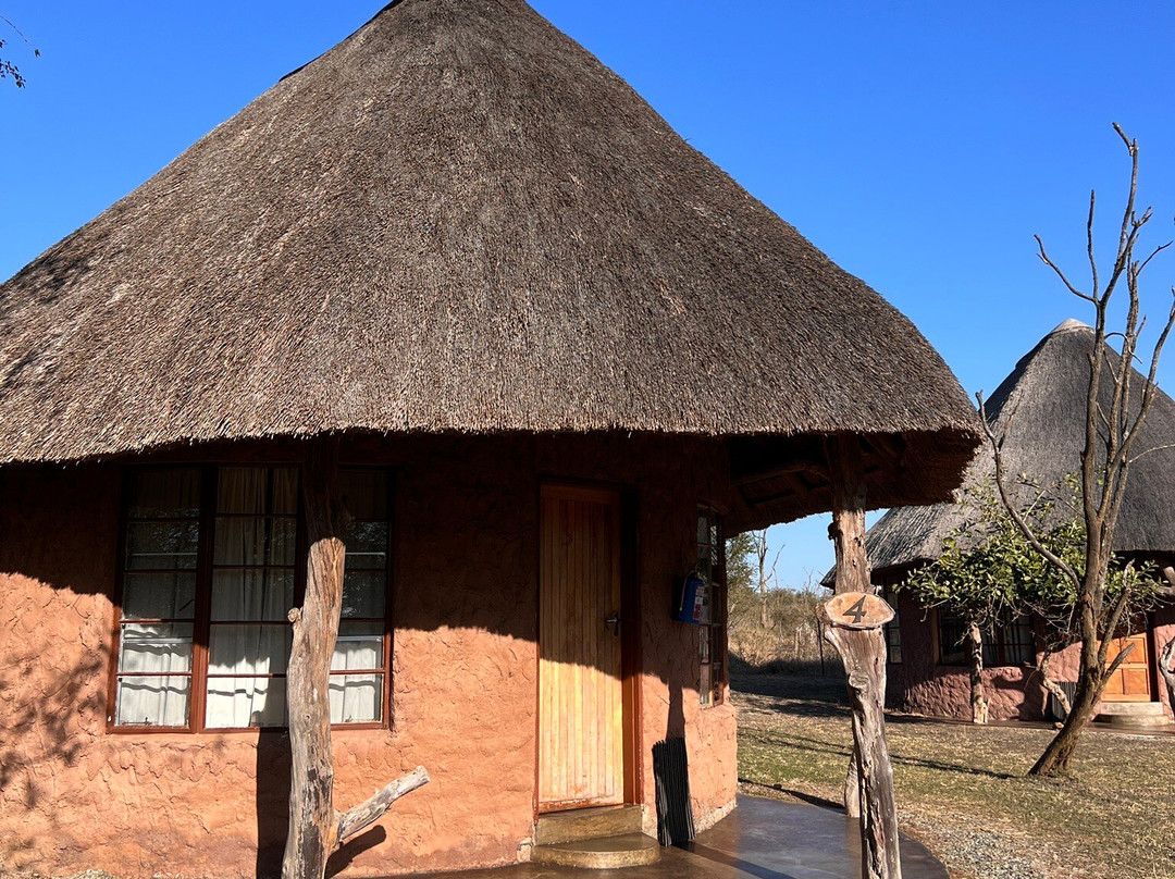 Big Six Tour Safaris-约翰内斯堡必去景点