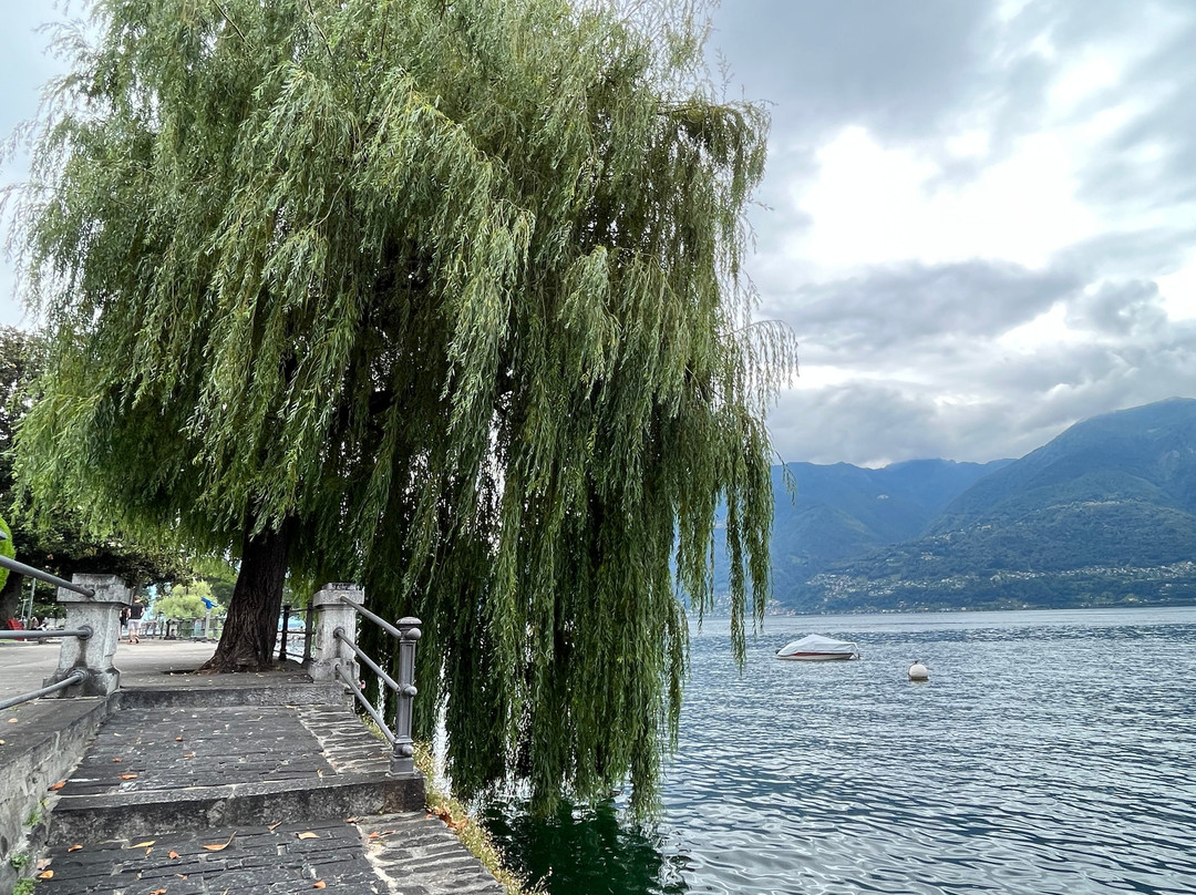 Lido Locarno CBR - Centro Balneare Regionale-洛迦诺必去景点