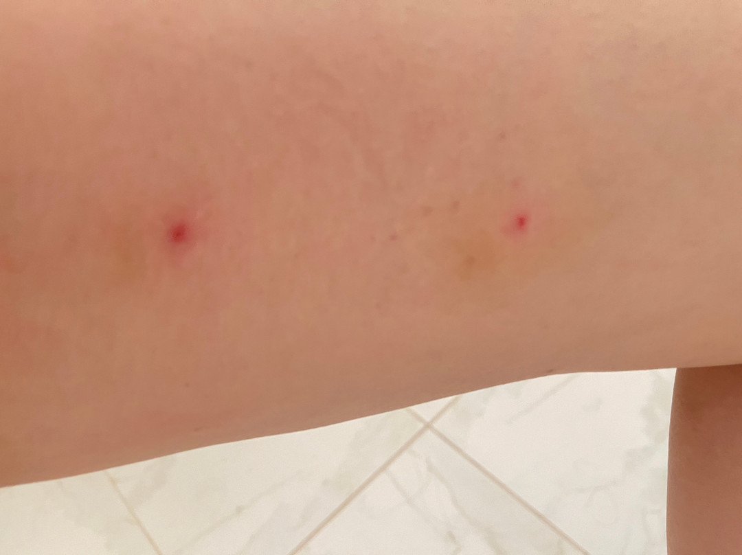 新布伦兹维克凯悦酒店主图