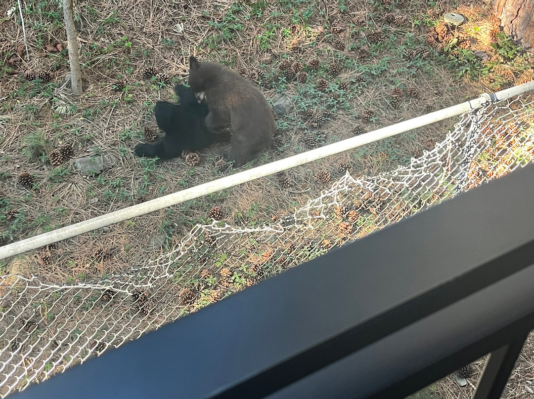 茵克莱公园酒店主图