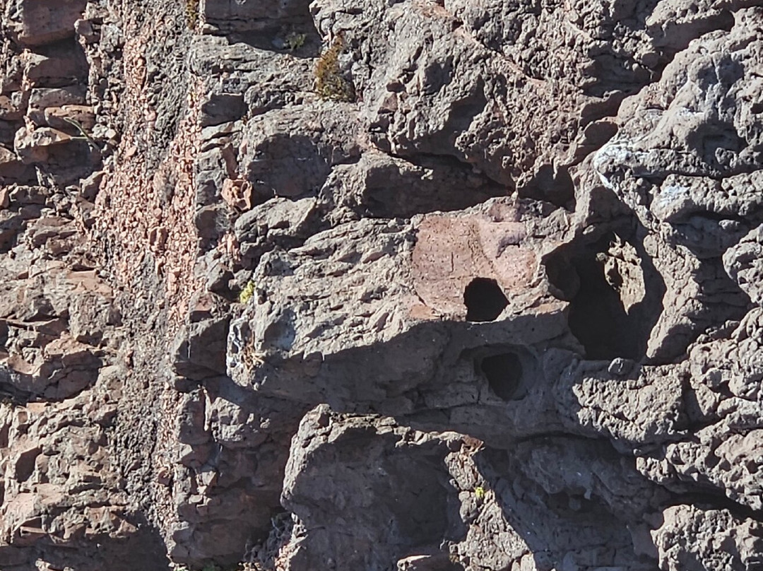 Espiritu & Baja Tours-拉巴斯必去景点