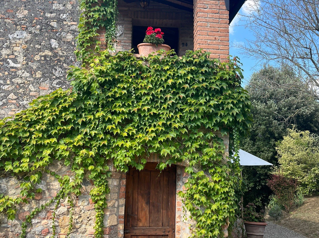 Villa Baciolo主图