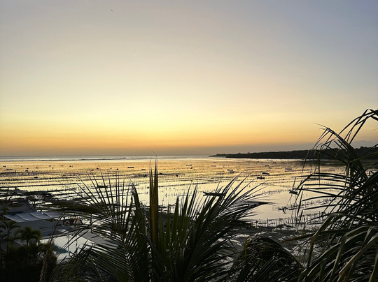 Aurora Beach View主图