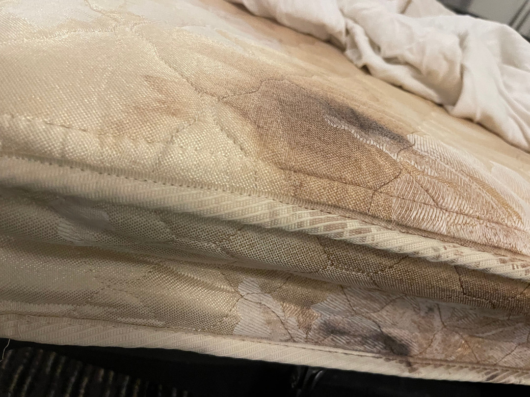 La Quinta Inn & Suites by Wyndham Orlando Lake Mary主图