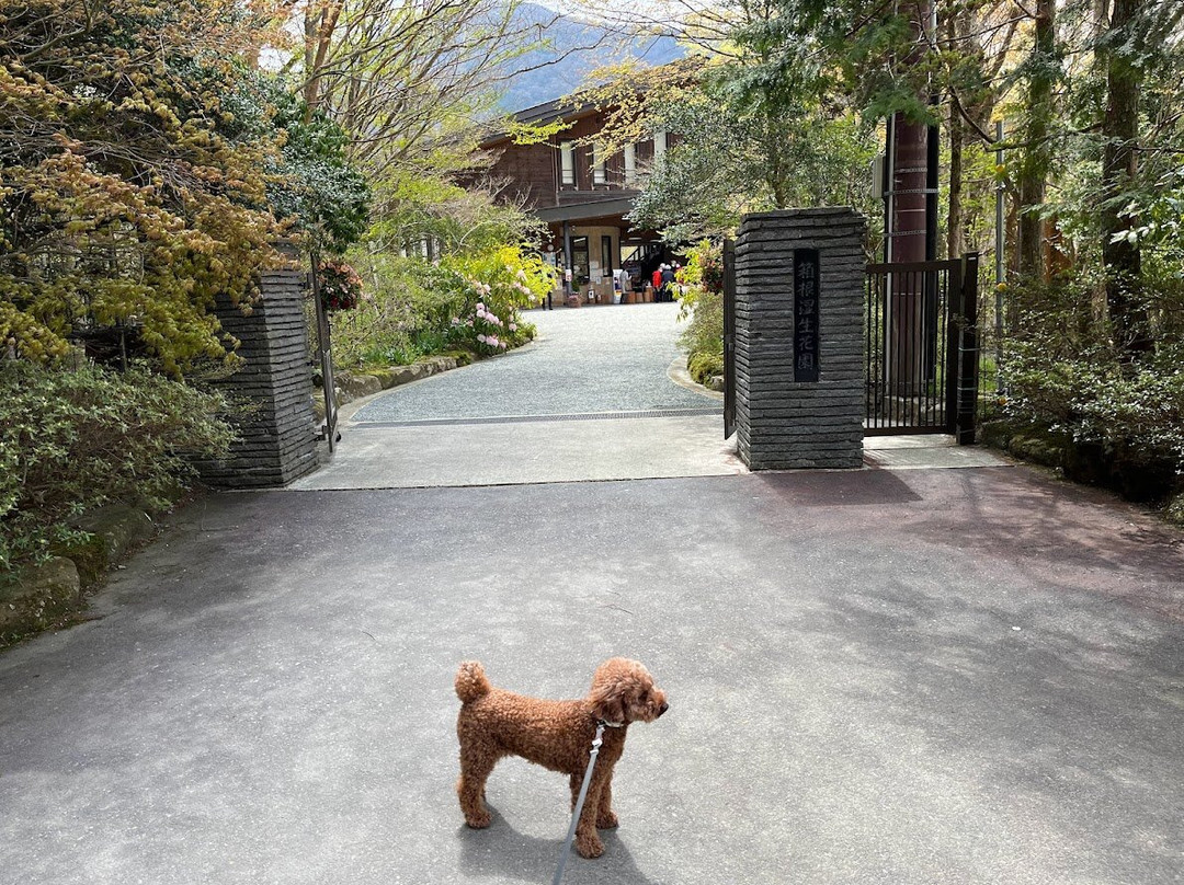 Hakone Shisseikaen-箱根町必去景点