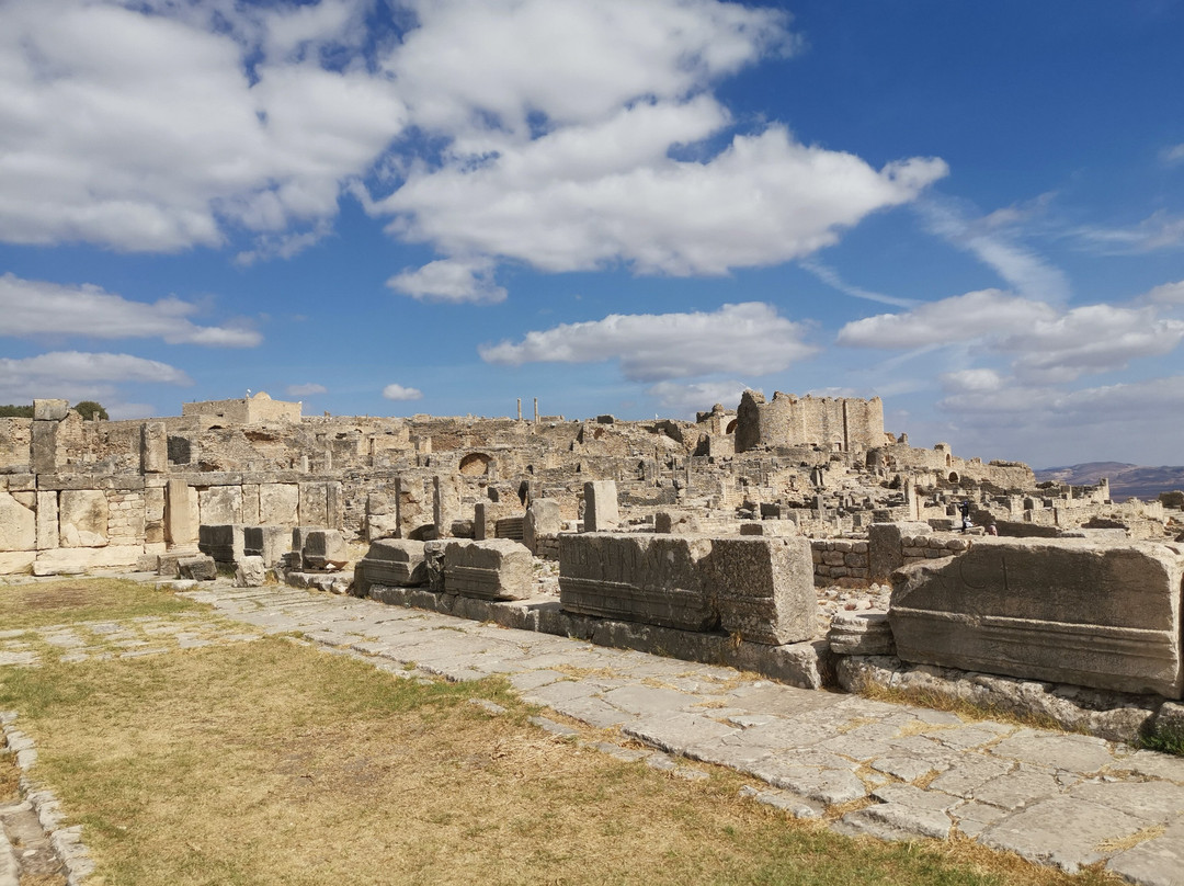 Dar El Yasmine主图